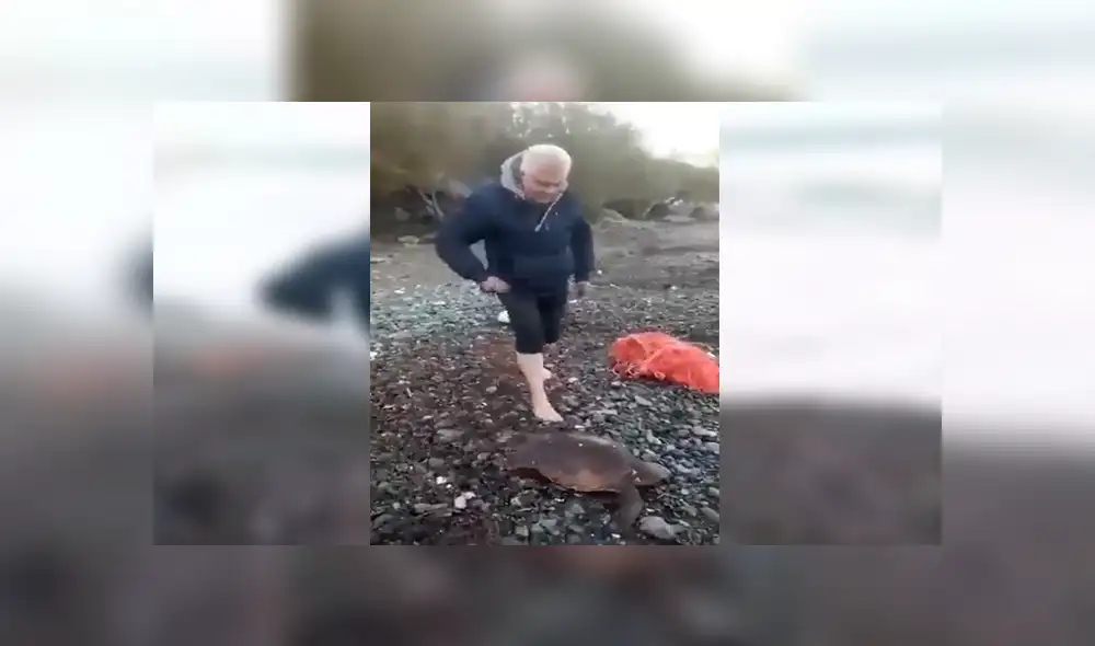 YouTube viral: hombre arriesga su vida e ingresa al mar para salvar a tortuga cubierta de plástico [VIDEO]