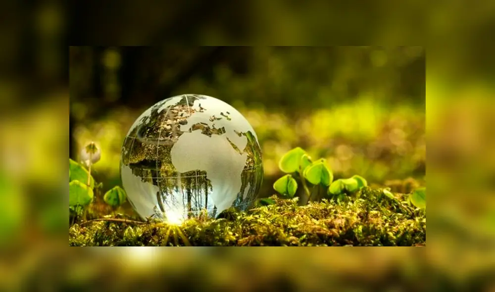 Día Mundial del Medio Ambiente: ¿Cómo concientizar a los niños sobre la importancia de esta fecha?