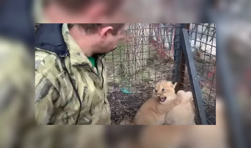 Desliza hacia la izquierda para ver las imágenes del viral de YouTube.