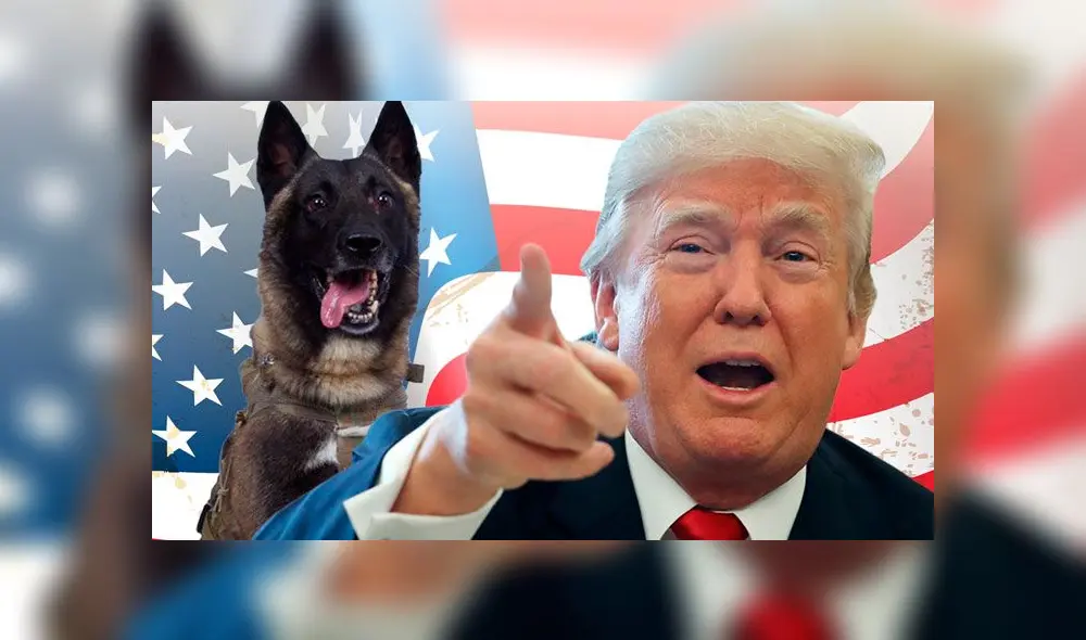 Perro que participó en el operativo contra líder del Estado Islámico visitará la Casa Blanca [FOTOS]