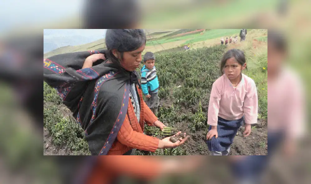 Congreso aprueba ley que fortalece la planificación agraria Congreso aprueba ley que fortalece la planificación agraria