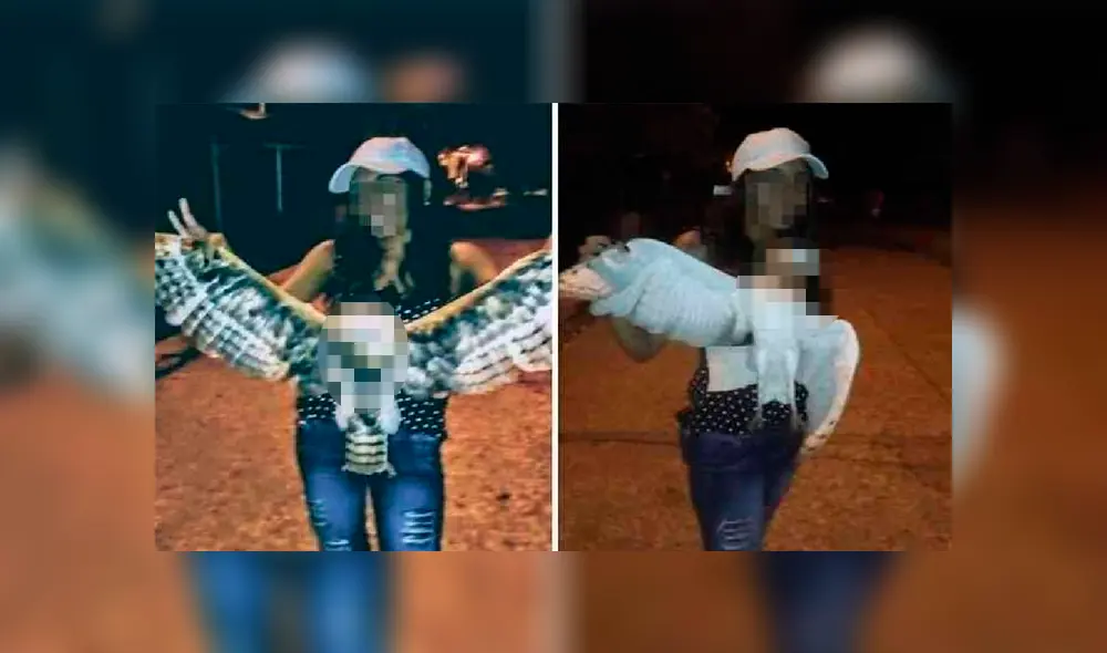 La mujer degolló a una lechuza y el cadáver lo exhibió a través de las redes sociales como si fuera un trofeo. Foto: Captura/Facebook