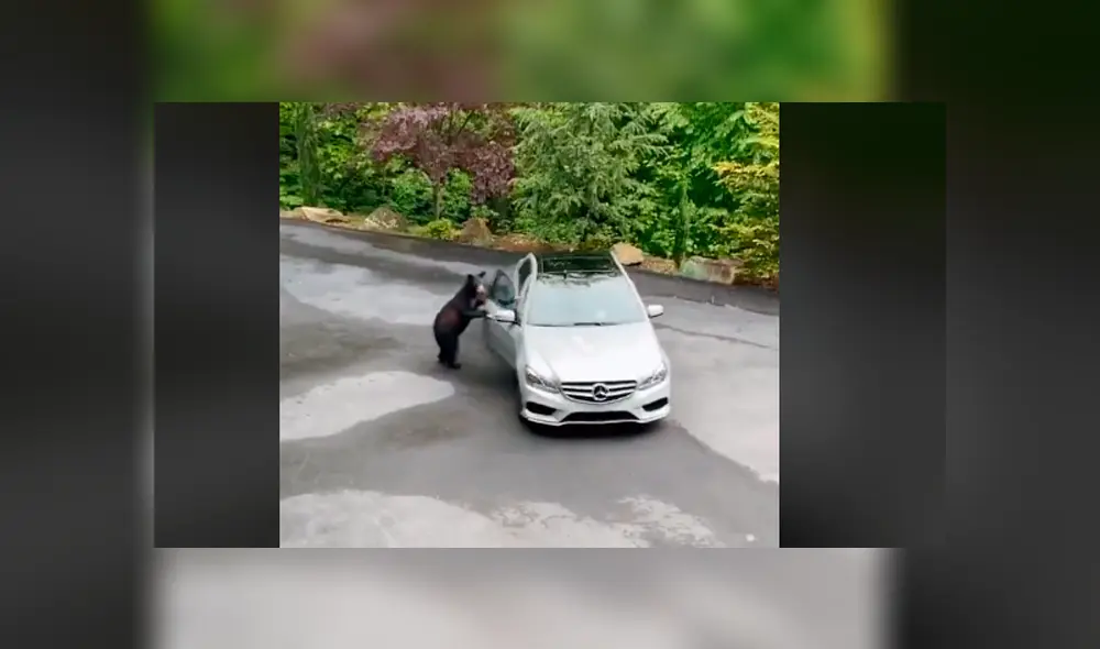 Desliza la imagen de TikTok para ver todas las fotos.