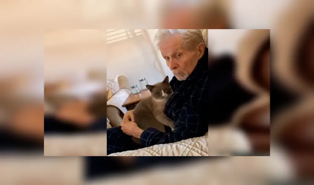 Desliza las imágenes para observar el tierno momento que protagonizó un anciano junto a un gato que lo cuidaba. Desliza las imágenes para observar el tierno momento que protagonizó un anciano junto a un gato que lo cuidaba.