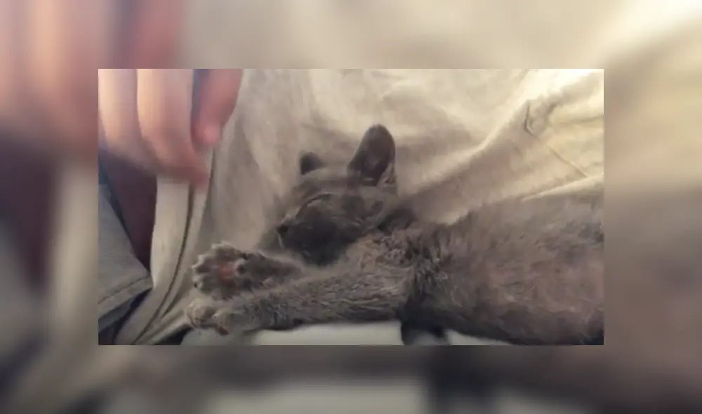 Desliza hacia la izquierda para ver más del video viral