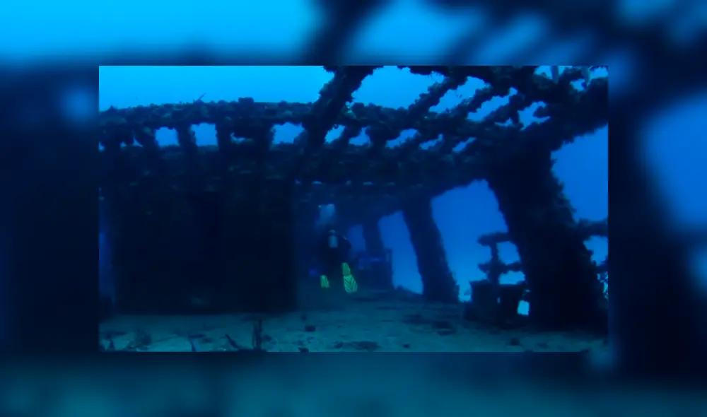 YouTube viral: buzo ingresa al mar en busca de ‘tesoro’ oculto y se topa con hambrientos tiburones.