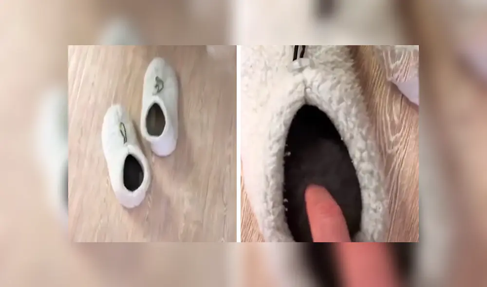 En YouTube, un joven se acercó con cuidado a su pantufla y descubrió a su tierna mascota realizando una travesura. En YouTube, un joven se acercó con cuidado a su pantufla y descubrió a su tierna mascota realizando una travesura.