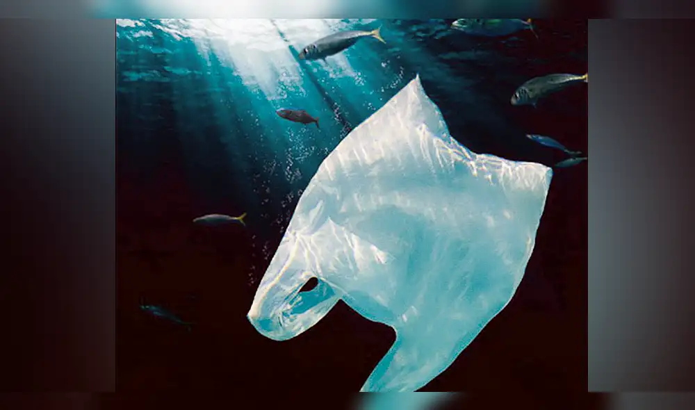 4 proyectos de ley buscan acabar con uso del plástico