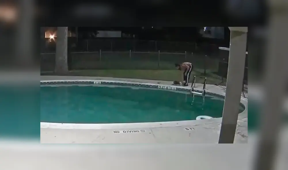 Arrestan a hombre por maltratar y torturar a gato dentro de una piscina Arrestan a hombre por maltratar y torturar a gato dentro de una piscina