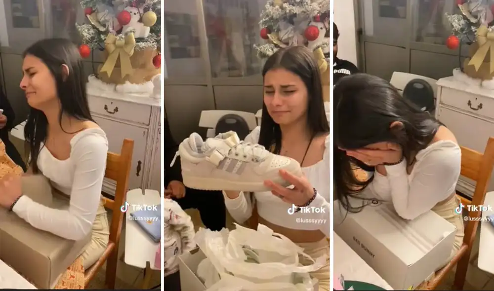 El clip ha logrado más de 700.000 reproducciones en TikTok. Foto: composición LR/captura de TikTok/@lusssyyyy