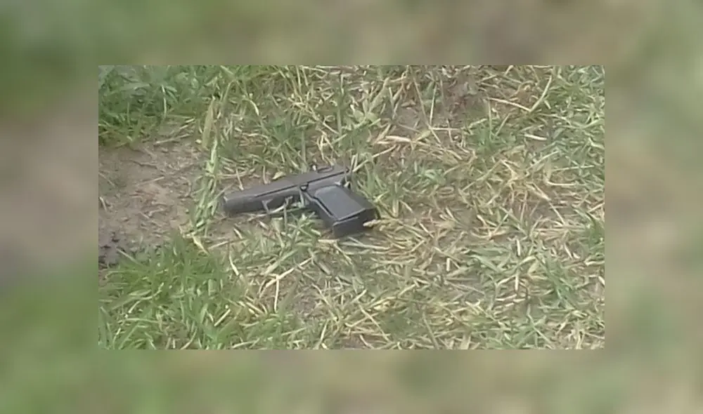 Lince robo panadería Lince robo panadería