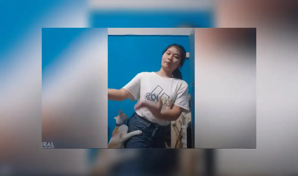 Video es viral en TikTok. Joven intentaba grabar su práctica de baile tradicional tailandés, pero sus mascotas le arruinaron el momento con su intempestiva aparición. Fotocaptura: YouTube