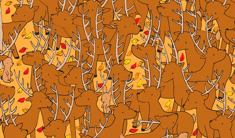 Solo cuentas con 20 segundos para superar con éxito este juego. Foto: Dudolf.com Solo cuentas con 20 segundos para superar con éxito este juego. Foto: Dudolf.com