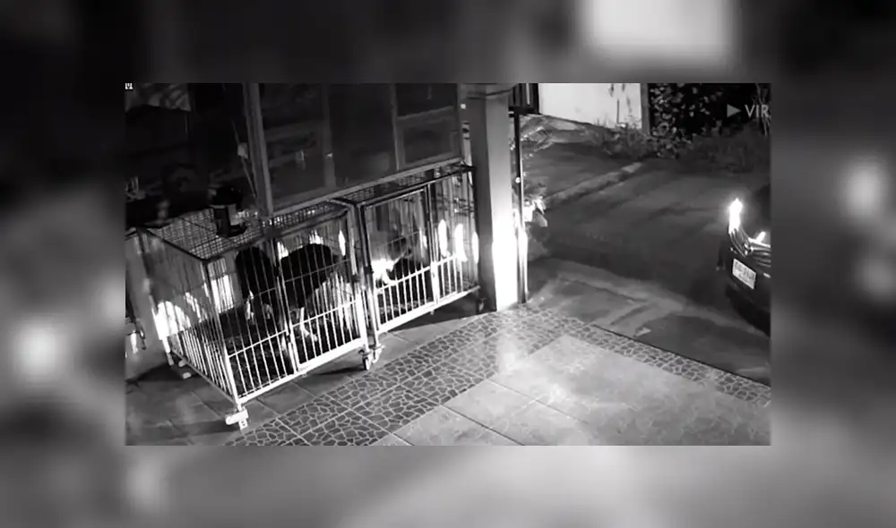 En Facebook se compartió el registro de una cámara de seguridad que muestra la reacción de dos perros al ver a su dueño.