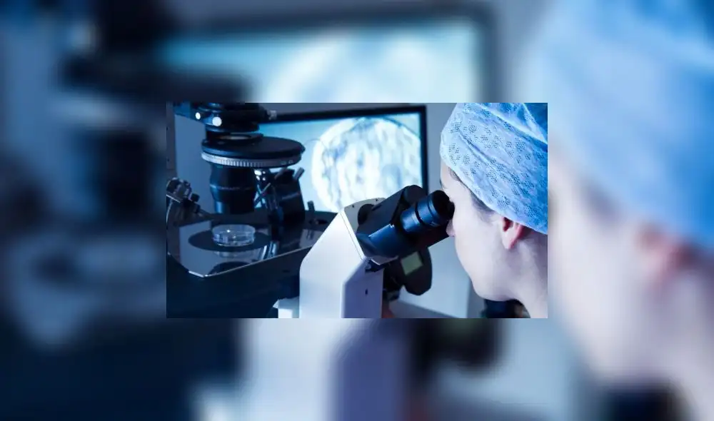 Foto: Getty. Foto: Getty.