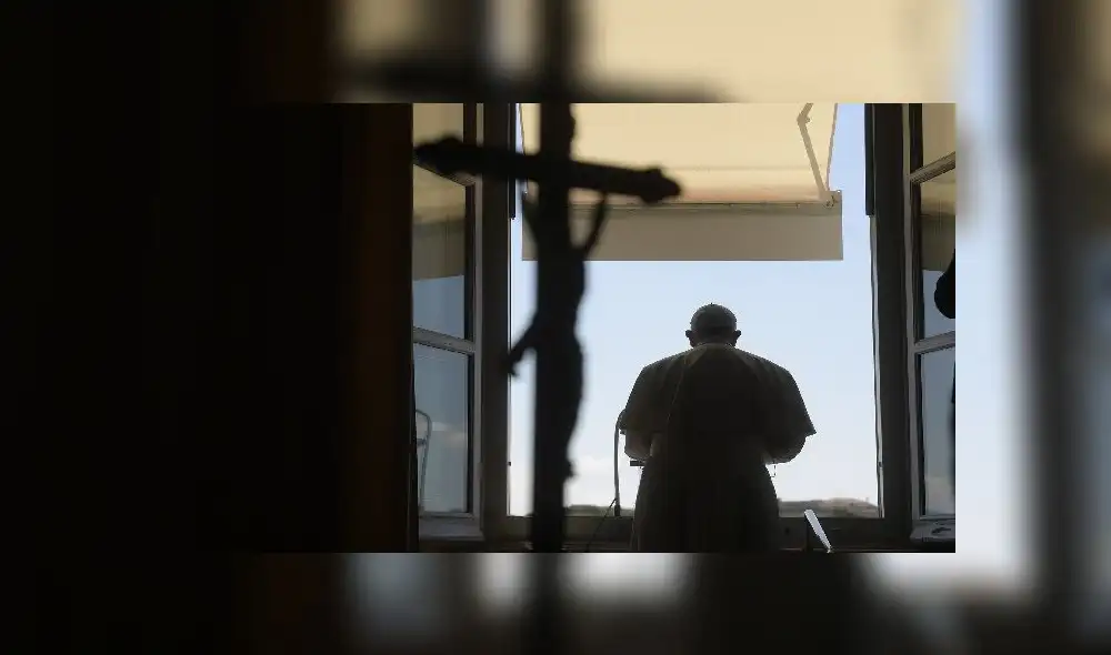 Galapagos fur seals (Arctocephalus galapagoensis) remain at Isabela Island, Galapagos Archipelago, in the Pacific Ocean, 1000 km off the coast of Ecuador, on February 21, 2019. (Photo by RODRIGO BUENDIA / AFP) Galapagos fur seals (Arctocephalus galapagoensis) remain at Isabela Island, Galapagos Archipelago, in the Pacific Ocean, 1000 km off the coast of Ecuador, on February 21, 2019. (Photo by RODRIGO BUENDIA / AFP)