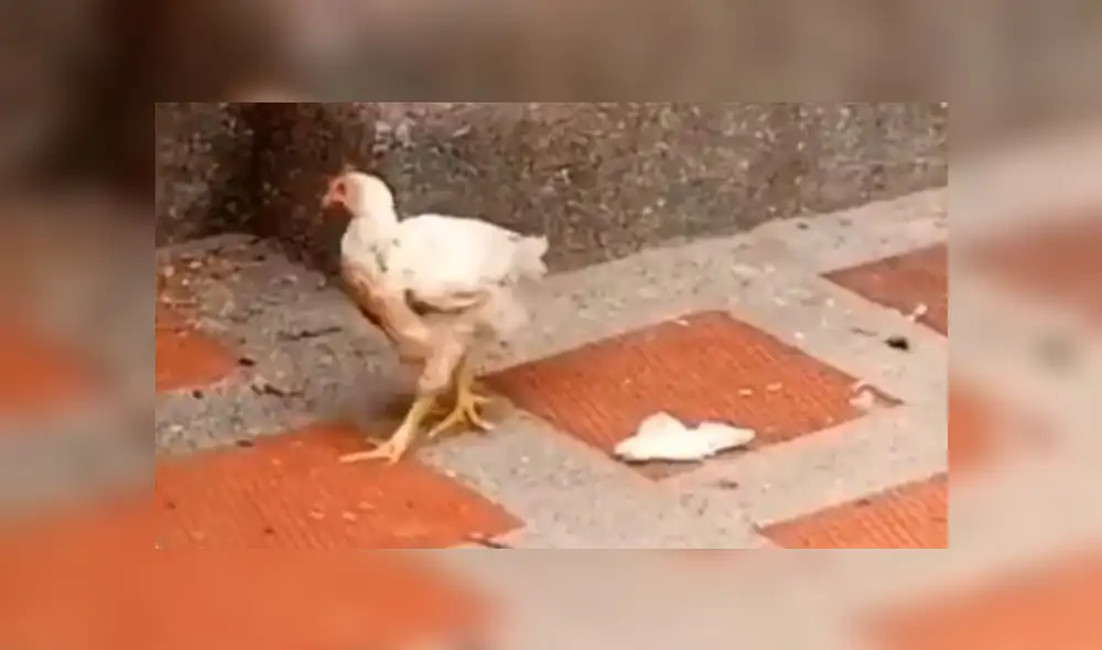 Desliza hacia la izquierda para ver más del video viral.