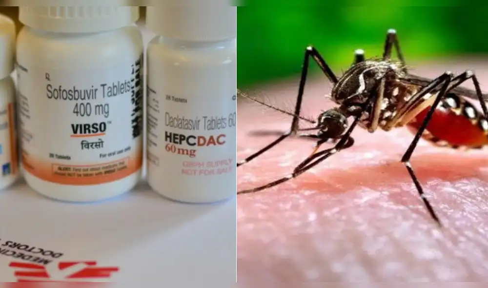 Investigadores descubren fármaco que combate al peligroso virus chikungunya