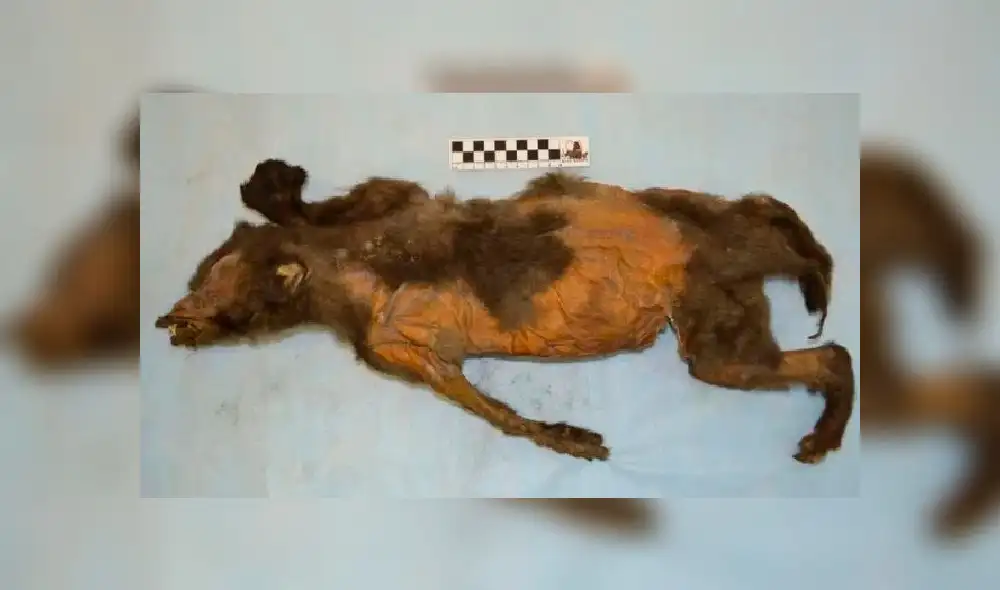 Smoke and flames rise after war planes belonging to the Israeli army carried out airstrikes over Gaza City on August 18, 2020. - A rocket was fired on late August 18 from Gaza towards Israel, the army said, hours after the Jewish state warned Hamas it was risking "war" by failing to stop incendiary balloon attacks. The tensions come amid fuel shortages in the Palestinian enclave caused by an Israeli blockade, which has triggered widespread blackouts. (Photo by MAHMUD HAMS / AFP)