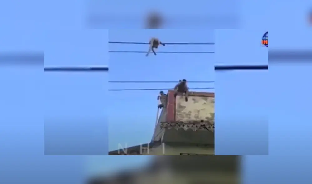 Desliza hacia la izquierda para ver más del video viral. Desliza hacia la izquierda para ver más del video viral.