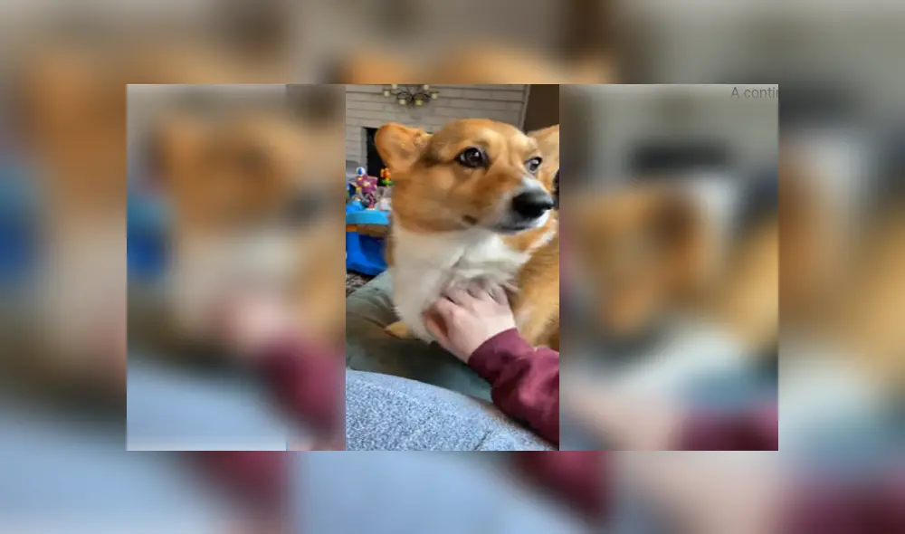 Desliza para ver los detalles del video viral publicado en YouTube. Foto: Captura.