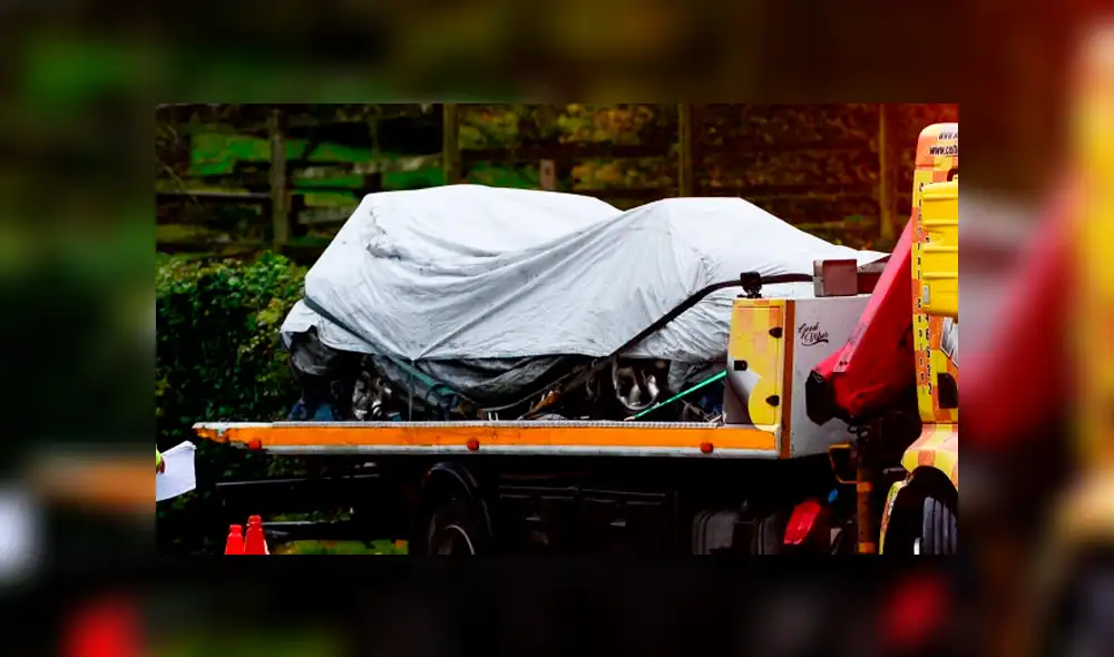 Madre e hija fallecen tras ser aplastadas por árbol que cayó sobre su vehículo [FOTOS]