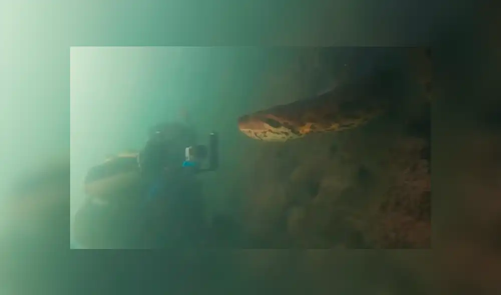 Intrépido buzo se encuentra con anaconda de 7 metros dentro de río y final paraliza las redes [VIDEO]
