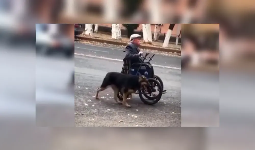 Desliza las imágenes hacia la izquierda para apreciar el noble gesto de un perro cuando salió a pasear con su dueño.