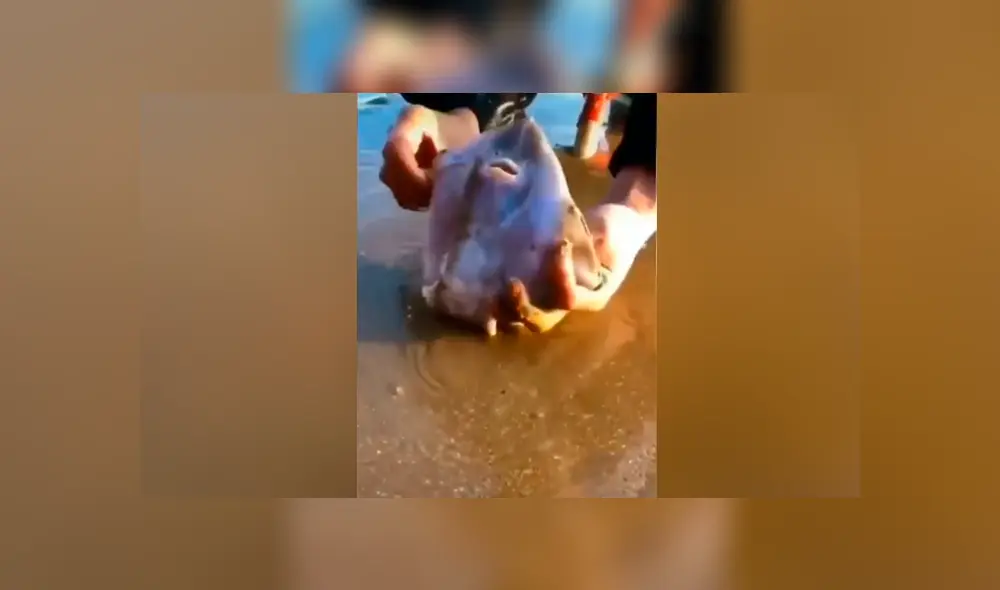 Facebook viral: se topa con misterioso lodo que ‘respira’, se asoma y descubre lo más insólito Facebook viral: se topa con misterioso lodo que ‘respira’, se asoma y descubre lo más insólito