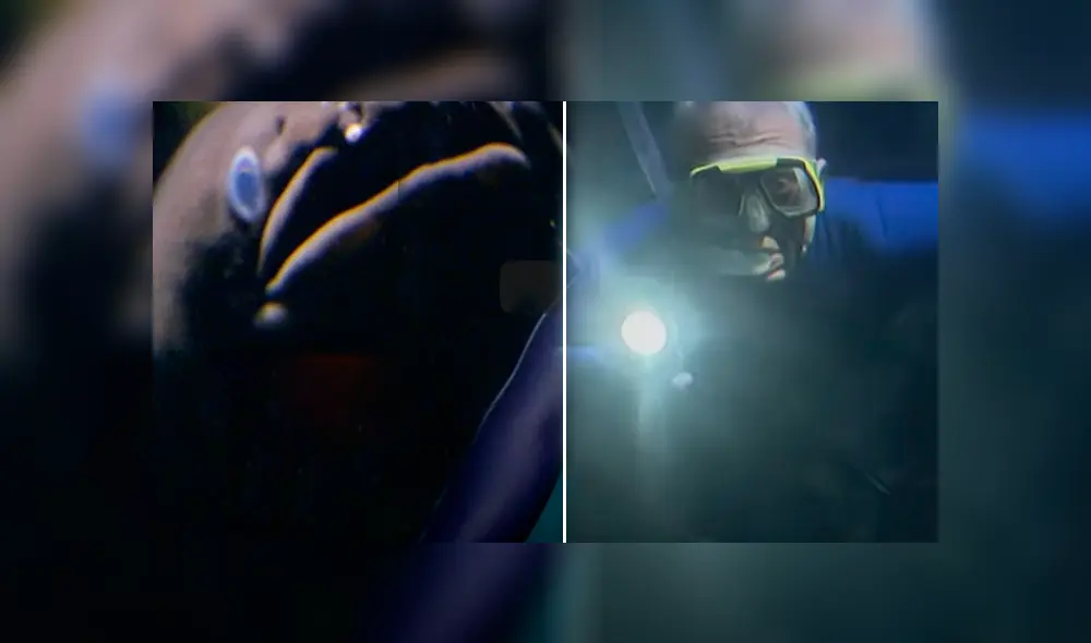 Desliza hacia la izquierda para ver el aspecto del pez que capturó un hombre dentro de un peligroso acuario El video es viral en YouTube. Desliza hacia la izquierda para ver el aspecto del pez que capturó un hombre dentro de un peligroso acuario El video es viral en YouTube.