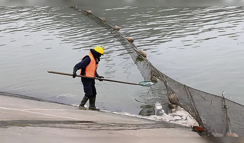 No habrá crisis hídrica este año en Perú, asegura Autoridad del Agua No habrá crisis hídrica este año en Perú, asegura Autoridad del Agua