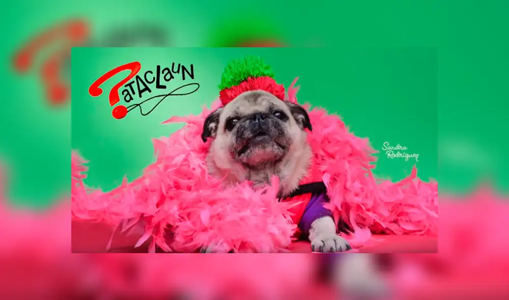 Mascota de Queca es fotografiada vestida de Queca. Foto: Sandra Rodríguez