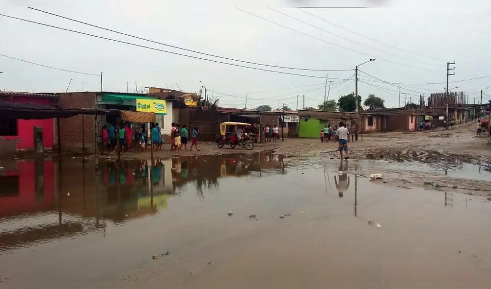 Piura: Población temerosa por plaga de zancudos y mosquitos Piura: Población temerosa por plaga de zancudos y mosquitos