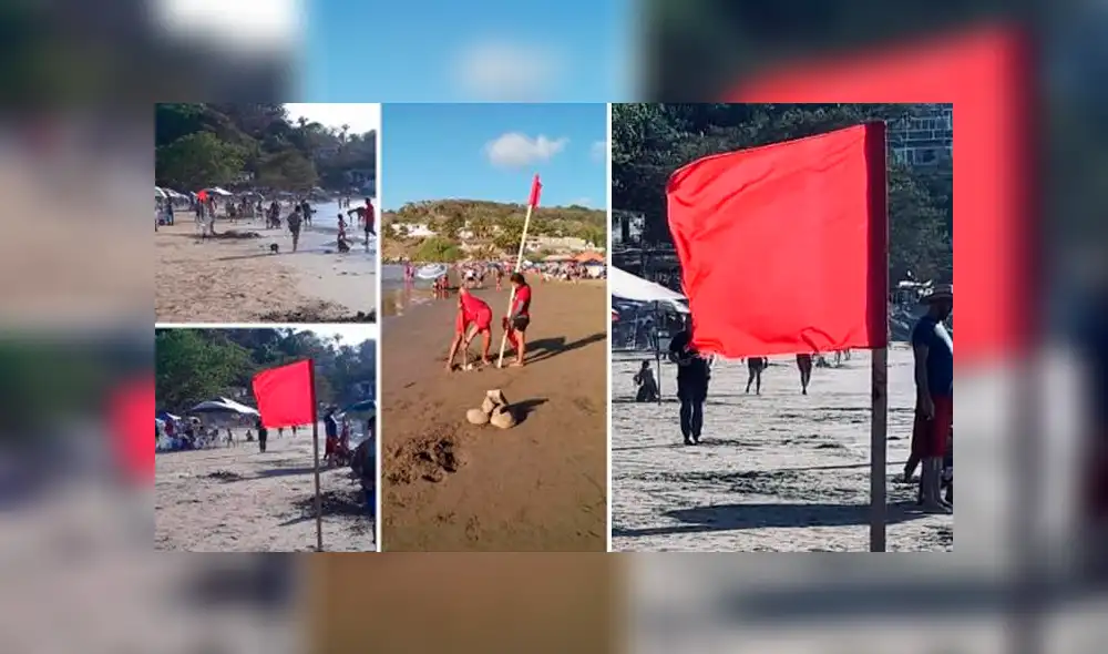 Serpientes marinas atacan a decena de turistas en playa de México Serpientes marinas atacan a decena de turistas en playa de México