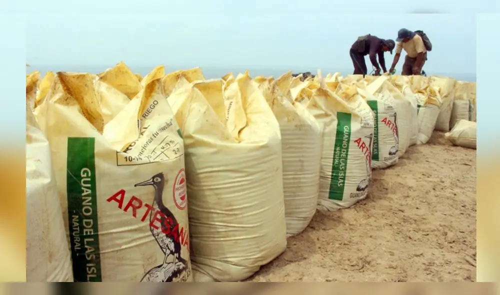 guano de isla guano de isla