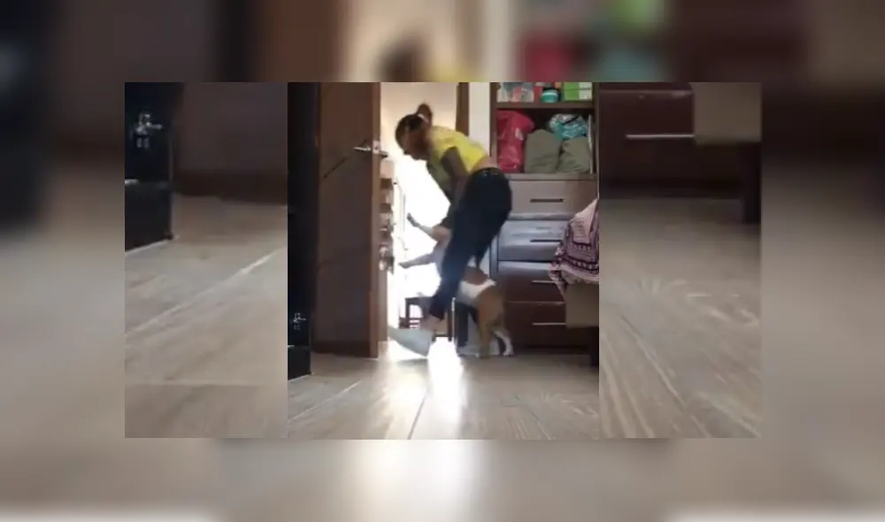 Video es viral en TikTok. La mujer y el can protagonizaron una graciosa batalla, luego de que ella intentara sacarlo de la habitación para iniciar sus clases virtuales. Video es viral en TikTok. La mujer y el can protagonizaron una graciosa batalla, luego de que ella intentara sacarlo de la habitación para iniciar sus clases virtuales.