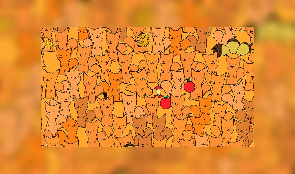 Facebook viral: halla al ratón escondido entre zorros de colores, el nuevo reto visual que casi nadie puede resolver Facebook viral: halla al ratón escondido entre zorros de colores, el nuevo reto visual que casi nadie puede resolver
