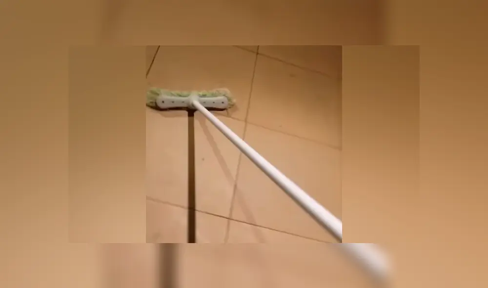 YouTube viral: encuentra araña con miles de sus crías, la mata y ocurre esto [VIDEO]