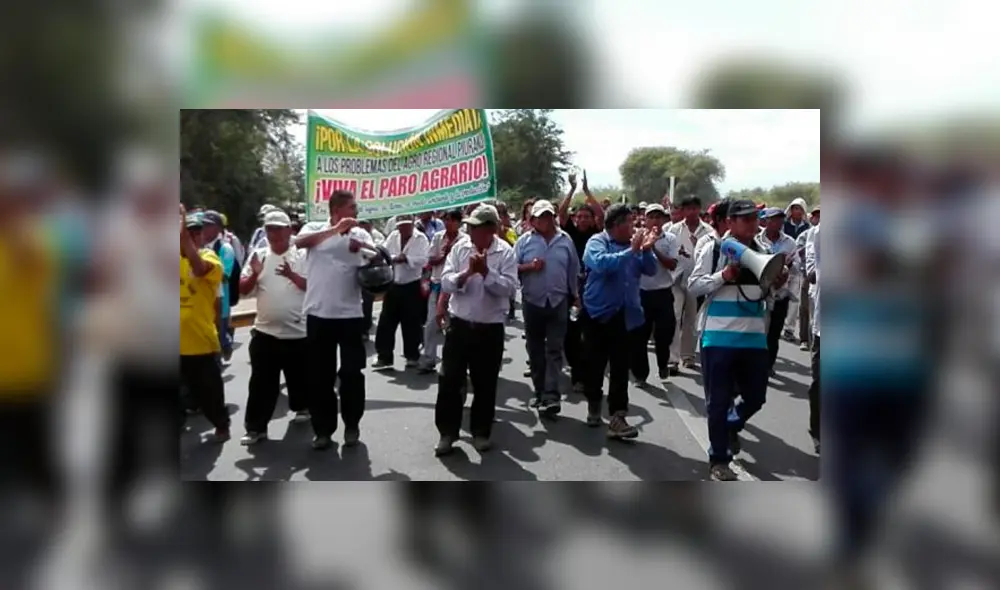 Ejecutivo envía proyecto de ley para derogar régimen laboral agrícola al Congreso