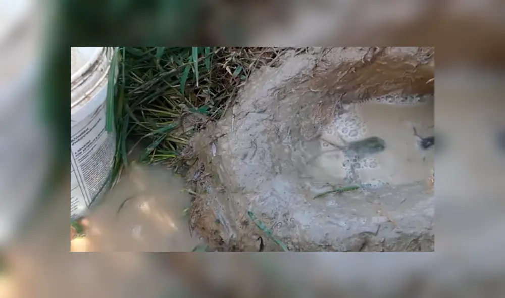 Desliza para ver el desenlace de este video viral de YouTube. Foto: Captura.