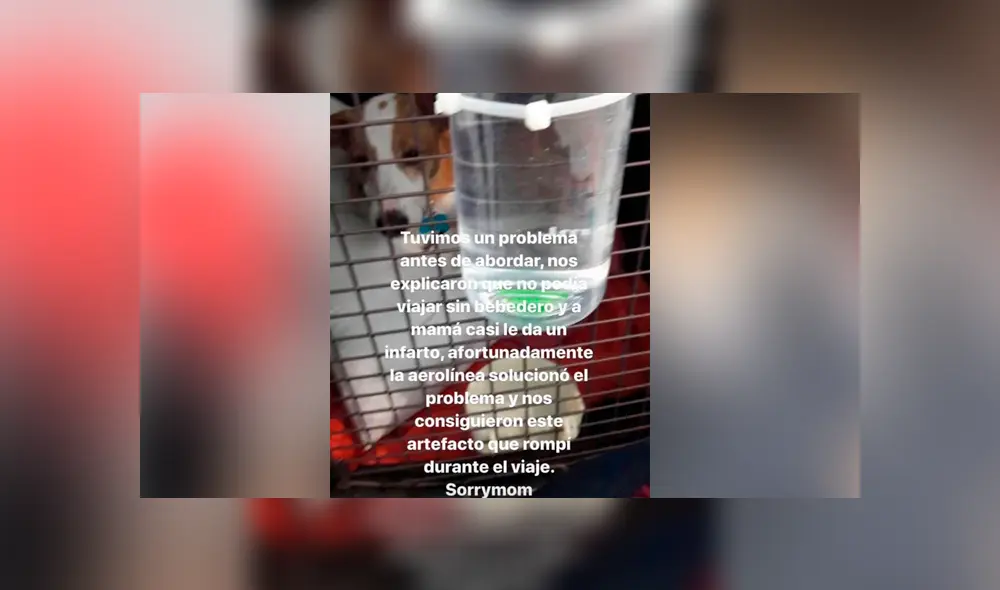 Desliza para ver los detalles de esta historia que conmovió a todos en Facebook. Foto: Captura. Desliza para ver los detalles de esta historia que conmovió a todos en Facebook. Foto: Captura.