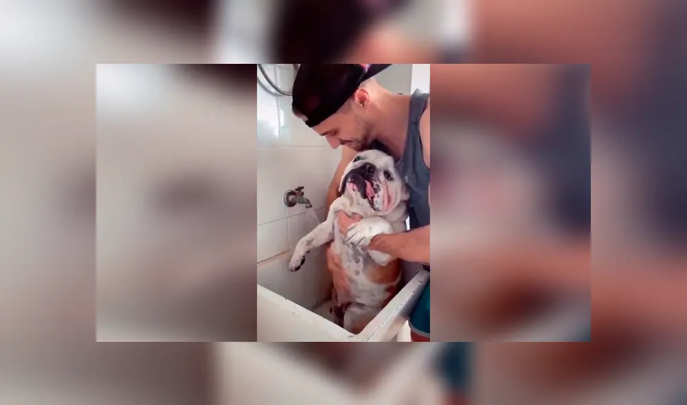 Desliza las imágenes hacia la izquierda para apreciar el comportamiento de un perro para evitar bañarse. Foto: Captura.