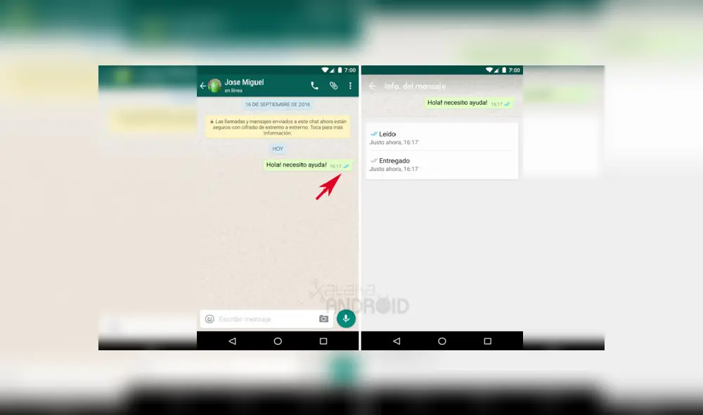 Sigue los pasos para mantenerte oculto. Imagen: Xataka Android.