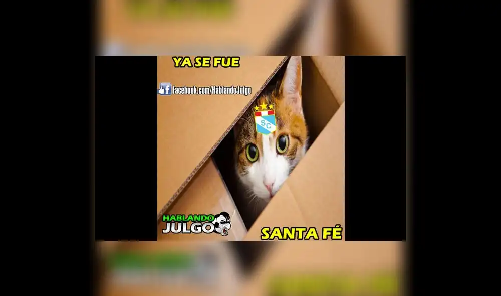 Sporting Cristal vs. Santa Fe: memes de la caída celeste en Copa Libertadores | FOTOS