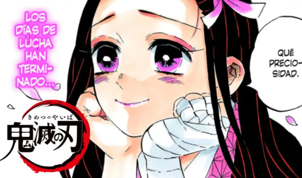 Kimetsu no Yaiba - manga 204