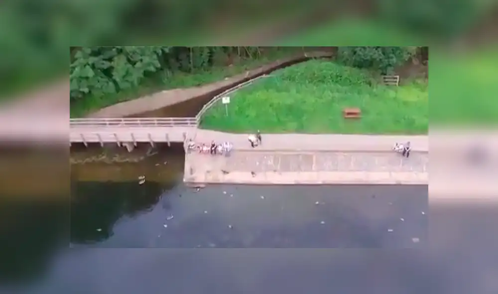 Un video viral muestra como un joven hizo hasta lo imposible para salvar su dron nuevo de un trágico final. Un video viral muestra como un joven hizo hasta lo imposible para salvar su dron nuevo de un trágico final.