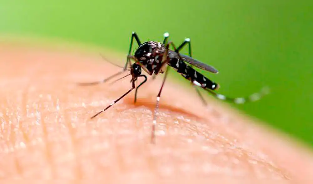 Cajamarca: realizan reuniones para prevenir el dengue en Jaén