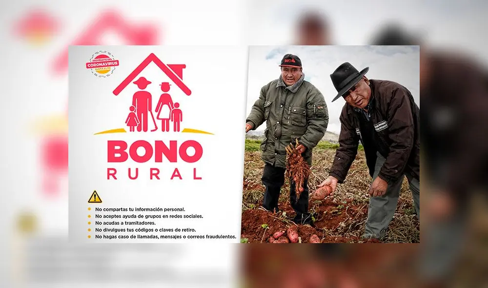 Bono rural s/760: revisa el LINK con el padrón de beneficiarios y conoce cómo tramitar este subsidio estatal. Bono rural s/760: revisa el LINK con el padrón de beneficiarios y conoce cómo tramitar este subsidio estatal.