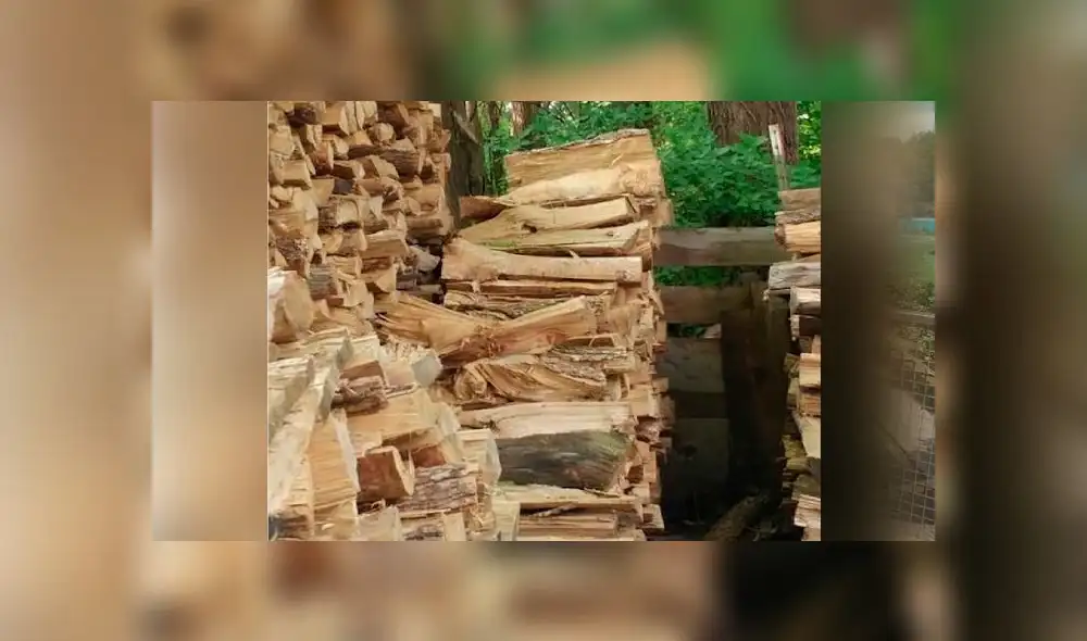 Desliza las imágenes para ver la ubicación de este travieso gato que se escondió entre leños para dormir la siesta. Foto: Facebook Desliza las imágenes para ver la ubicación de este travieso gato que se escondió entre leños para dormir la siesta. Foto: Facebook