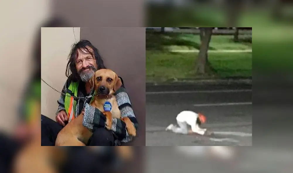 Indigente llora desconsoladamente la muerte de su perro que fue atropellado Indigente llora desconsoladamente la muerte de su perro que fue atropellado